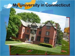 My University in Connecticut
 
