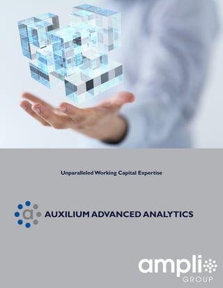 Unparalleled Working Capital Expertise
AUXILIUM ADVANCED ANALYTICS
 