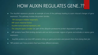 HOW AUXIN REGULATES GENE..??
 The Aux/IAA repressors provide an example of one of the pathways leading to auxin induced changes of gene
expression. This pathway involves the protein families
1. TIR1 (transport inhibitor response1),
2. ARF (auxin response factor),
3. Aux/IAA transcriptional repressors, and
4. The ubiquitin ligase complex (i.e. part of the ubiquitin-proteasome protein degradation pathway).
 ARF proteins have DNA binding domains and can bind promoter regions of genes and activate or repress gene
expression.
 Aux/IAA proteins can bind ARF proteins sitting on gene promoters and prevent them from doing their job.
 TIR1 proteins are F-box proteins that have three different domains
 