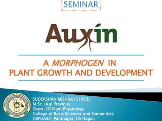 SUDERSHAN MISHRA (51063)
M.Sc. (Ag) Previous
Deptt. Of Plant Physiology
College of Basic Sciences and Humanities
GBPUA&T, Pantnagar, US Nagar.
A MORPHOGEN IN
PLANT GROWTH AND DEVELOPMENT
 