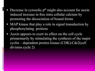  Decrease in cytosolic pH might also account for auxin
induced increase in free intra cellular calcium by
promoting the dissociation of bound forms
 MAP kinase that play a role in signal transduction by
phosphorylating protiens
 Auxin appears to exert its effect on the cell cycle
primarmarily by stimulating the synthesis of the major
cyclin – dependent protien kinase (CDK):Cdc2(cell
division cycle 2)
 
