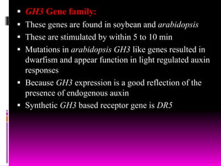  GH3 Gene family:
 These genes are found in soybean and arabidopsis
 These are stimulated by within 5 to 10 min
 Mutations in arabidopsis GH3 like genes resulted in
dwarfism and appear function in light regulated auxin
responses
 Because GH3 expression is a good reflection of the
presence of endogenous auxin
 Synthetic GH3 based receptor gene is DR5
 