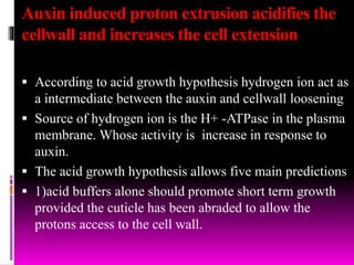 Auxin induced proton extrusion acidifies the
cellwall and increases the cell extension
 According to acid growth hypothesis hydrogen ion act as
a intermediate between the auxin and cellwall loosening
 Source of hydrogen ion is the H+ -ATPase in the plasma
membrane. Whose activity is increase in response to
auxin.
 The acid growth hypothesis allows five main predictions
 1)acid buffers alone should promote short term growth
provided the cuticle has been abraded to allow the
protons access to the cell wall.
 