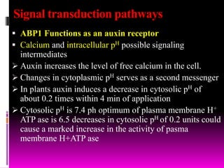 Signal transduction pathways
 ABP1 Functions as an auxin receptor
 Calcium and intracellular pH possible signaling
intermediates
 Auxin increases the level of free calcium in the cell.
 Changes in cytoplasmic pH serves as a second messenger
 In plants auxin induces a decrease in cytosolic pH of
about 0.2 times within 4 min of application
 Cytosolic pH is 7.4 ph optimum of plasma membrane H+
ATP ase is 6.5 decreases in cytosolic pH of 0.2 units could
cause a marked increase in the activity of pasma
membrane H+ATP ase
 