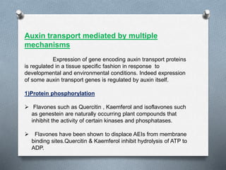 Auxin transport mediated by multiple
mechanisms
Expression of gene encoding auxin transport proteins
is regulated in a tissue specific fashion in response to
developmental and environmental conditions. Indeed expression
of some auxin transport genes is regulated by auxin itself.
1)Protein phosphorylation
 Flavones such as Quercitin , Kaemferol and isoflavones such
as genestein are naturally occurring plant compounds that
inhibhit the activity of certain kinases and phosphatases.
 Flavones have been shown to displace AEIs from membrane
binding sites.Quercitin & Kaemferol inhibit hydrolysis of ATP to
ADP.
 