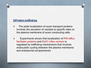 2)Protein trafficking
 The polar localization of auxin transport proteins
involves the secretion of vesicles to specific sites on
the plasma membrane of auxin conducting cells.
 Experiments shown that localization of PIN efflux
facilitator proteins and AUX1 influx carriers is
regulated by trafficking mechanisms that involves
endocytotic cycling between the plasma membrane
and endosomal compartments.
 