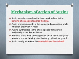 Mechanism of action of Auxins
O Auxin was discovered as the hormone involved in the
bending of coleoptile towards the light.
O Auxin promotes growth in the stems and coleoptiles, while
inhibition of growth in roots.
O Auxins synthesized in the shoot apex is transported
basipetally to the tissues below.
O Because of the level of endogenous auxin in the elongation
region, a normal healthy plant is nearly optimal for growth.
O Auxin rapidly increases the extensibility of the cell wall.
 