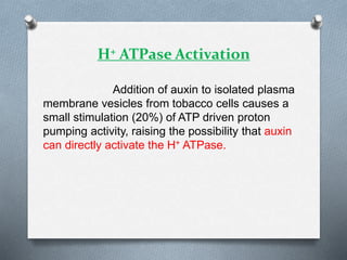 H+ ATPase Activation
Addition of auxin to isolated plasma
membrane vesicles from tobacco cells causes a
small stimulation (20%) of ATP driven proton
pumping activity, raising the possibility that auxin
can directly activate the H+ ATPase.
 