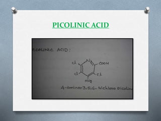 PICOLINIC ACID
 