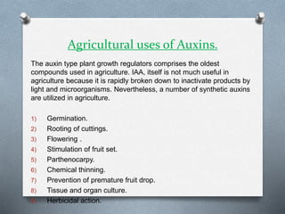 Agricultural uses of Auxins.
The auxin type plant growth regulators comprises the oldest
compounds used in agriculture. IAA, itself is not much useful in
agriculture because it is rapidly broken down to inactivate products by
light and microorganisms. Nevertheless, a number of synthetic auxins
are utilized in agriculture.
1) Germination.
2) Rooting of cuttings.
3) Flowering .
4) Stimulation of fruit set.
5) Parthenocarpy.
6) Chemical thinning.
7) Prevention of premature fruit drop.
8) Tissue and organ culture.
9) Herbicidal action.
 