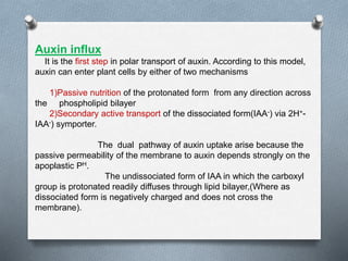 Auxin influx
It is the first step in polar transport of auxin. According to this model,
auxin can enter plant cells by either of two mechanisms
1)Passive nutrition of the protonated form from any direction across
the phospholipid bilayer
2)Secondary active transport of the dissociated form(IAA-) via 2H+-
IAA-) symporter.
The dual pathway of auxin uptake arise because the
passive permeability of the membrane to auxin depends strongly on the
apoplastic PH.
The undissociated form of IAA in which the carboxyl
group is protonated readily diffuses through lipid bilayer,(Where as
dissociated form is negatively charged and does not cross the
membrane).
 