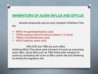 INHIBHITORS OF AUXIN INFLUX AND EFFLUX
Several compounds acts as auxin transport inhibhitors.They
are
 NPA(1-N-naphthylphthalamic acid)
 CPD(2-carboxyl phenyl-3-phenyl propane-1,3 dione),
 TIBA(2,3,5-triiodobenzoic acid)
 NOA(1napthoxy acetic acid)
NPA,CPD and TIBA are auxin efflux
inhibitors(AEIs).They block polar transport of auxins by preventing
auxin efflux. Some AEIs such as TIBA inhibit polar transport of
auxins by competing with auxin at efflux carrier site and interfering
by binding the regulatory site.
 