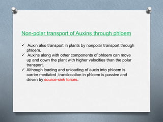 Non-polar transport of Auxins through phloem
 Auxin also transport in plants by nonpolar transport through
phloem.
 Auxins along with other components of phloem can move
up and down the plant with higher velocities than the polar
transport.
 Although loading and unloading of auxin into phloem is
carrier mediated ,translocation in phloem is passive and
driven by source-sink forces.
 