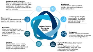 Phillip Andrews 25
(Agility)
 