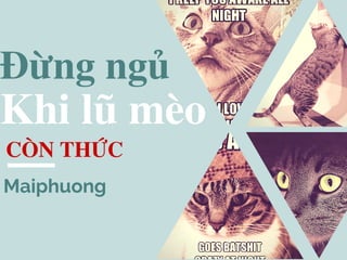 Đừng ngủ
CÒN THỨC
Khi lũ mèo
Maiphuong
 