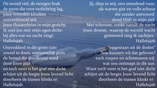 De avond viel, de morgen brak de steen die voor verlichting lag, jouw woorden klonken  oorverdovend stil. Jouw fluisterbries in mijn gezicht, ik voel Jou met mijn ogen dicht- bij alles wat nu zacht zingt:  Hallelujah Ontredderd in die grote tuin zoveel te doen, onmenselijk puin de hemel die doorkruist werd  door Jouw pijn en toch weer is het graf niet dicht schijnt uit de leegte Jouw levend licht doorheen de tranen klinkt er:  Hallelujah Jij, diep in mij, een smeulend vuur, als warme gist en volle schuur die zonder antwoord  dood blijft in mijn ziel. Met schroom, vonkt vanuit de nacht Jouw droom,  waarop de wereld wacht gesmoord zing ik zachtjes:  Hallelujah “ opgestaan uit de doden” hoe kunnen wij dat geloven? toch roepen en schreeuwen wij  wat ons ontsnapt in dit uur. Want toch weer is het graf niet dicht schijnt uit de leegte Jouw levend licht doorheen de tranen klinkt er:  Hallelujah (L. Cohen / bew. Peter Biesbrouck ) 