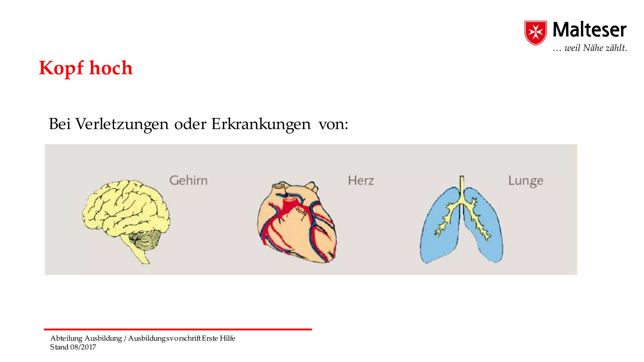 Abteilung Ausbildung / AusbildungsvorschriftErste Hilfe
Stand 08/2017
Kopf hoch
Bei Verletzungen oder Erkrankungen von:
 