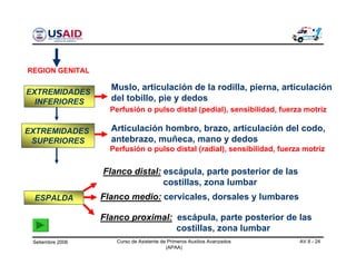 Setiembre 2006 Curso de Asistente de Primeros Auxilios Avanzados
(APAA)
AV 8 - 24
EXTREMIDADES
INFERIORES
EXTREMIDADES
SUPERIORES
ESPALDA
Muslo, articulación de la rodilla, pierna, articulación
del tobillo, pie y dedos
Perfusión o pulso distal (pedial), sensibilidad, fuerza motriz
Articulación hombro, brazo, articulación del codo,
antebrazo, muñeca, mano y dedos
Perfusión o pulso distal (radial), sensibilidad, fuerza motriz
Flanco distal: escápula, parte posterior de las
costillas, zona lumbar
Flanco medio: cervicales, dorsales y lumbares
Flanco proximal: escápula, parte posterior de las
costillas, zona lumbar
REGION GENITAL
 