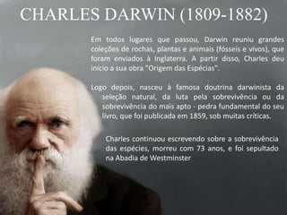 CHARLES DARWIN (1809-1882)
Charles continuou escrevendo sobre a sobrevivência
das espécies, morreu com 73 anos, e foi sepultado
na Abadia de Westminster
Em todos lugares que passou, Darwin reuniu grandes
coleções de rochas, plantas e animais (fósseis e vivos), que
foram enviados à Inglaterra. A partir disso, Charles deu
início a sua obra "Origem das Espécias".
Logo depois, nasceu à famosa doutrina darwinista da
seleção natural, da luta pela sobrevivência ou da
sobrevivência do mais apto - pedra fundamental do seu
livro, que foi publicada em 1859, sob muitas críticas.
 