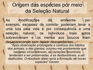 Origem das espécies por meio
da Seleção Natural
“Após observação prolongada e contínua dos hábitos
dos animais, e das plantas, ocorreu-me prontamente que
naquelas circunstâncias, as variações favoráveis
tenderiam a ser preservadas, e as desfavoráveis, a ser
destruídas. O resultado disso seria a formação de novas
espécies” Darwin
As modificações do ambiente- por
exemplo, escassez de comida- poderiam levar a
uma luta pela vida e por consequência a uma
seleção natural: os indivíduos mais aptos
sobreviveriam e os menos aos poucos iriam
desaparecendo sem deixar descendentes.
 
