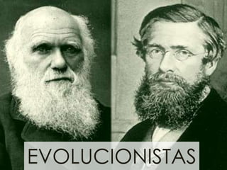 EVOLUCIONISTAS
 