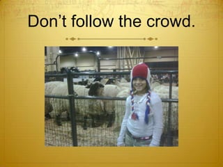 Don’t follow the crowd.<br />
