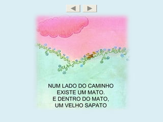 NUM LADO DO CAMINHO
EXISTE UM MATO.
E DENTRO DO MATO,
UM VELHO SAPATO
 
