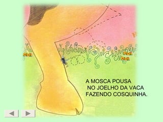 A MOSCA POUSA
NO JOELHO DA VACA
FAZENDO COSQUINHA.
 