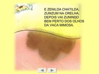 E ZENILDA CHATILDA,
ZUMZUM NA ORELHA,
DEPOIS VAI ZUNINDO
BEM PERTO DOS OLHOS
DA VACA MIMOSA.
 