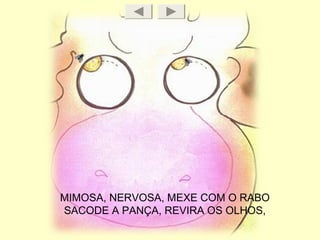 MIMOSA, NERVOSA, MEXE COM O RABO
SACODE A PANÇA, REVIRA OS OLHOS,
 