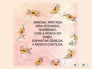 MIMOSA, IRRITADA
GIRA RODANDO,
QUERENDO,
COM A PONTA DO
RABO,
ESPANTAR ZENILDA,
A MOSCA CHATILDA.
 