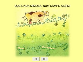 QUE LINDA MIMOSA, NUM CAMPO ASSIM!
 