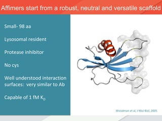 Woodman et al, J Mol Biol, 2005
Affimers start from a robust, neutral and versatile scaffold
Small- 98 aa
Lysosomal resident
Protease inhibitor
No cys
Well understood interaction
surfaces: very similar to Ab
Capable of 1 fM KD
 