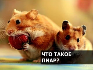 10/2016 2
ЧТО ТАКОЕ
ПИАР?
 