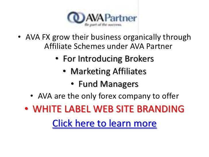 Ava forex review