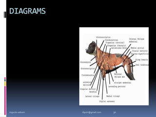 DIAGRAMS
mgucte vaikom 30
diputr@gmail.com
 