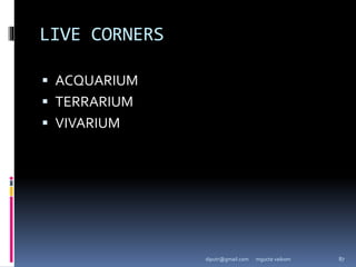 LIVE CORNERS
 ACQUARIUM
 TERRARIUM
 VIVARIUM
mgucte vaikom 87
diputr@gmail.com
 