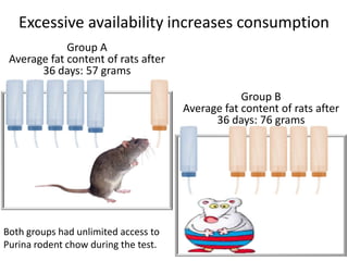 Excessive availability increases consumption<br />Group A<br />Average fat content of rats after 36 days: 57 grams<br />Gr...