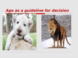 Age as a guideline for decision
 