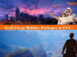 Avail Cheap Holiday Packages in USA -
TripBeam Travels
 