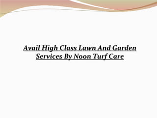 Avail High Class Lawn And Garden Services By Noon Turf Care 