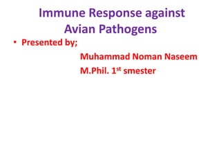 Immune Response against 
Avian Pathogens 
• Presented by; 
Muhammad Noman Naseem 
M.Phil. 1st smester 
 