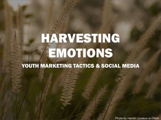 HARVESTING
       EMOTIONS
YOUTH MARKETING TACTICS & SOCIAL MEDIA




                              Photo by Harold Laudeus on Flickr
 