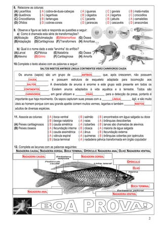 2
8. Relacione as colunas:
(A) Lacertílios
(B) Quelônios
(C) Crocodilianos
(D) Ofídios
( A ) cobra-de-duas-cabeças
( A ) lagartixas
( B ) tartarugas
( D ) cobras-corais
( A ) iguanas
( B ) cágados
( C ) jacarés
( D ) jararacas
( C ) gaviais
( A ) lagartos
( B ) jabutis
( D ) cascavéis
( B ) matá-matás
( C ) crocodilos
( A ) camaleões
( D ) anacondas
9. Observe a figura ao lado e responda as questões a seguir:
a) Como é chamada esta série de transformações?
(A)Mutação
(B)Adaptação
(C)Aclimatação
(D)Cartilaginosa
(E)Metamorfose
(F)Transformers
(G) Óssea
(H) Amorfose
b) Qual é o nome dado a esta “larvinha” do anfíbio?
(A)Larval
(B)Alevino
(C)Pélvica
(D)Girino
(E)Natatória
(F)Cartilaginosa
(G) Óssea
(H) Amorfa
10.Complete o texto abaixo com as palavras a seguir:
SALTOS INSETOS ANFÍBIOS LÍNGUA CONTINENTES VISÃO CARNÍVOROS CAUDA
Os anuros (sapos) são um grupo de ______ANFÍBIOS______ que, após crescerem, não possuem
_________CAUDA________ e possuem estrutura de esqueleto adaptada para locomoção aos
________SALTOS________. A diversidade de anuros é enorme e este grupo está presente em todos os
______CONTINENTES______. Existem anuros adaptados à vida aquática e à terrestre. Todos são
_______CARNÍVOROS______, em geral utilizam a _______VISÃO________ para a detecção da presa, portanto é
importante que haja movimento. Os sapos capturam suas presas com a _______LÍNGUA_______ ágil, e são muito
úteis ao homem porque com seu grande apetite comem muitos vermes, lagartas e também _______INSETOS_____
adultos de diversas espécies.
11. Associe as colunas:
(A) Peixes cartilaginosos
(B) Peixes ósseos
( A ) boca ventral
( B ) bexiga natatória
( B ) cauda simétrica
( A ) fecundação interna
( A ) cauda assimétrica
( A ) válvula espiral
( B ) salmão
( A ) raias
( A ) tubarões
( B ) cloaca
( A ) ânus
( A ) quimeras
( B ) encontrados em água salgada ou doce
( A ) brânquias descobertas
( B ) larvas são chamadas de alevinos
( A ) maioria de água salgada
( B ) fecundação externa
( B ) brânquias cobertas por opérculos
( B ) boca terminal ( A ) nadadeira pélvica transformada em órgão copulador
12. Complete as lacunas com as palavras seguintes:
NADADEIRA CAUDAL NADADEIRA DORSAL BOCA TERMINAL OPÉRCULO NADADEIRA ANAL OLHO NADADEIRA VENTRAL
NADADEIRA DORSALNADADEIRA CAUDAL
NADADEIRA ANAL
NADADEIRA VENTRAL
OLHO
OPÉRCULO
BOCA TERMINAL
 