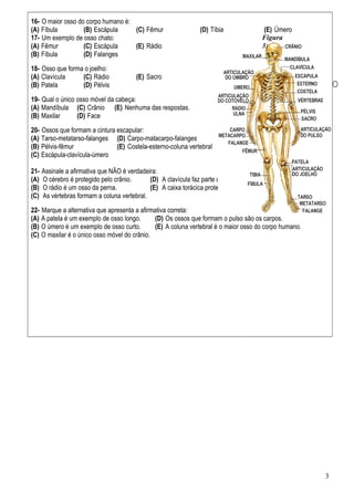 16- O maior osso do corpo humano é:
(A) Fíbula (B) Escápula (C) Fêmur (D) Tíbia (E) Úmero
17- Um exemplo de osso chato:
(A) Fêmur
(B) Fíbula
(C) Escápula
(D) Falanges
(E) Rádio
18- Osso que forma o joelho:
(A) Clavícula
(B) Patela
(C) Rádio
(D) Pélvis
(E) Sacro
19- Qual o único osso móvel da cabeça:
(A) Mandíbula
(B) Maxilar
(C) Crânio
(D) Face
(E) Nenhuma das respostas.
20- Ossos que formam a cintura escapular:
(A) Tarso-metatarso-falanges
(B) Pélvis-fêmur
(C) Escápula-clavícula-úmero
(D) Carpo-matacarpo-falanges
(E) Costela-esterno-coluna vertebral
21- Assinale a afirmativa que NÃO é verdadeira:
(A) O cérebro é protegido pelo crânio.
(B) O rádio é um osso da perna.
(C) As vértebras formam a coluna vertebral.
(D) A clavícula faz parte da articulação do ombro.
(E) A caixa torácica protege o coração e os pulmões.
22- Marque a alternativa que apresenta a afirmativa correta:
(A) A patela é um exemplo de osso longo.
(B) O úmero é um exemplo de osso curto.
(C) O maxilar é o único osso móvel do crânio.
(D) Os ossos que formam o pulso são os carpos.
(E) A coluna vertebral é o maior osso do corpo humano.
3
Figura
3:
 