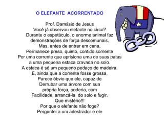 O ELEFANTE  ACORRENTADO
 
Prof. Damásio de Jesus
Você já observou elefante no circo?
Durante o espetáculo, o enorme animal faz
demonstrações de força descomunais.
Mas, antes de entrar em cena,
Permanece preso, quieto, contido somente
Por uma corrente que aprisiona uma de suas patas
a uma pequena estaca cravada no solo.
A estaca é só um pequeno pedaço de madeira.
E, ainda que a corrente fosse grossa,
Parece óbvio que ele, capaz de
Derrubar uma árvore com sua
própria força, poderia, com
Facilidade, arrancá-la  do solo e fugir.
Que mistério!!!
Por que o elefante não foge?
Perguntei a um adestrador e ele
 