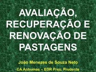 AVALIAÇÃO,
RECUPERAÇÃO E
RENOVAÇÃO DE
  PASTAGENS
 João Menezes de Souza Neto
 CA Anhumas – EDR Pres. Prudente
 