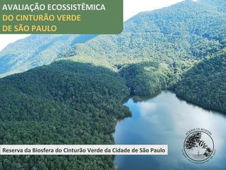 Reserva da Biosfera do Cinturão Verde da Cidade de São Paulo
AVALIAÇÃO ECOSSISTÊMICA
DO CINTURÃO VERDE
DE SÃO PAULO
 