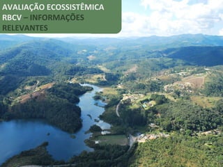 AVALIAÇÃO ECOSSISTÊMICA
RBCV – INFORMAÇÕES
RELEVANTES
 