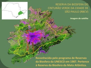 RESERVA DA BIOSFERA DO
CINTURÃO VERDE DA CIDADE DE
SÃO PAULO (RBCV)
imagem de satélite
Reconhecida pelo programa de Reservas
da Biosfera da UNESCO em 1987. Pertence
à Reserva da Biosfera da Mata Atlântica.
 